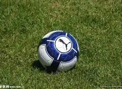 开云平台网,米兰的赞助,产品,开云体育,开云体育官网,开云体育app,开云体育平台,KAIYUN,SPORTS,kaiyun登录入口