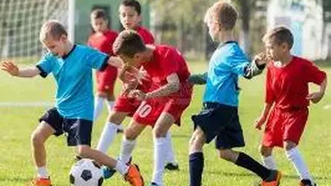 开云平台网站ac米兰的赞助商 产品 111658 24t