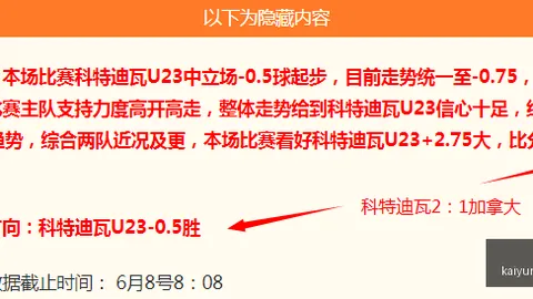 开云平台网站米兰的赞助商 153607 05