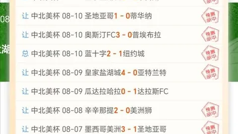 开云平台网站米兰的赞助商 124955 5