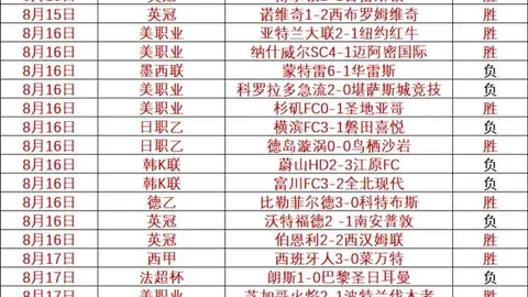 上海申花领跑中超之道开云平台官网：告别单一血性，探索全方位发展攻略